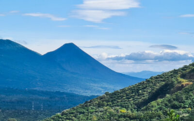 Ruta de las Flores – A Cultural Road Trip in the Coffee Region